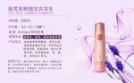 笛梵洗护