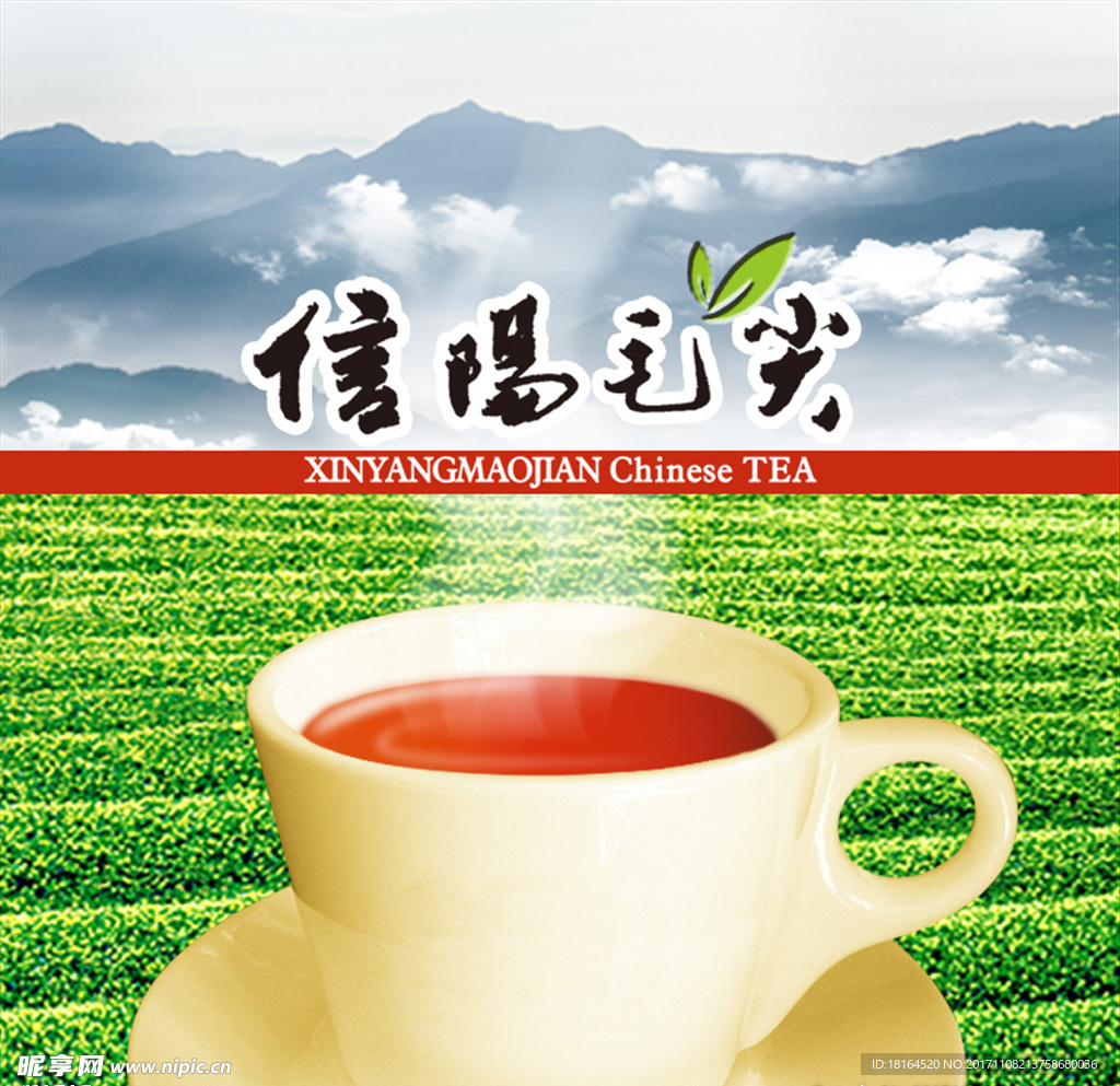 信阳毛尖茶