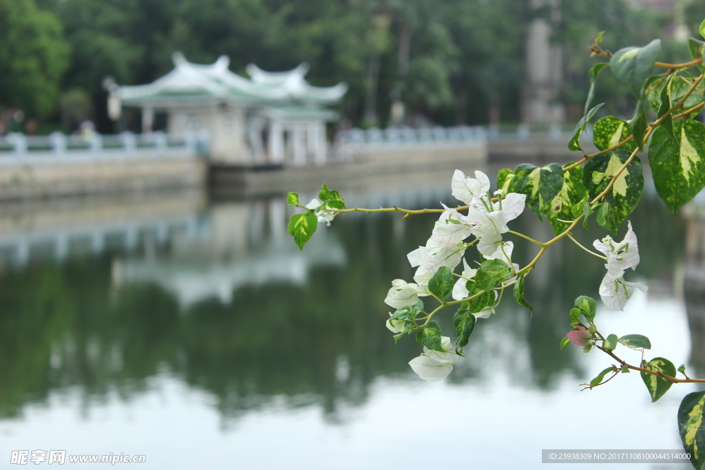 花望亭