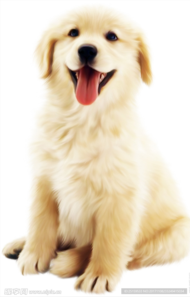 狗