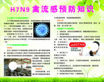 H7N9 禽流感预防知识