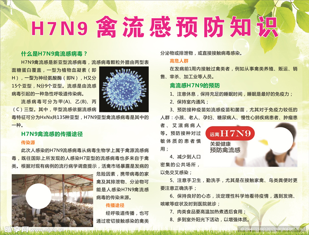 H7N9 禽流感预防知识