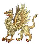 鹰头神兽