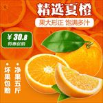清爽水果橙子直通车主图