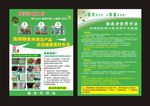 顺美净宣传单