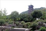 根宫佛国