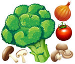 矢量蔬菜