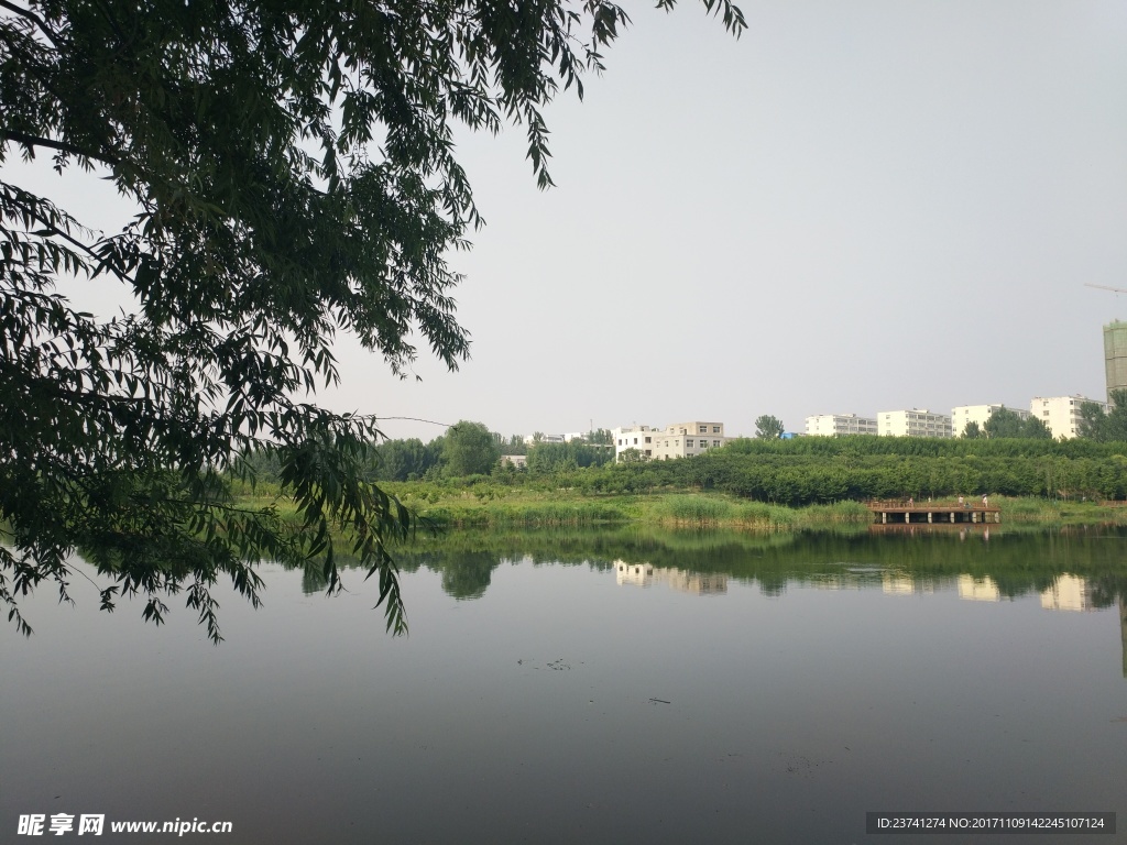 小湖  风景  随拍