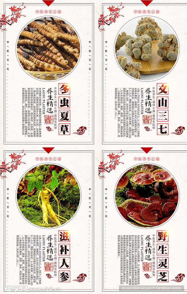 简约中国风中药展板