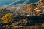 山村秋色