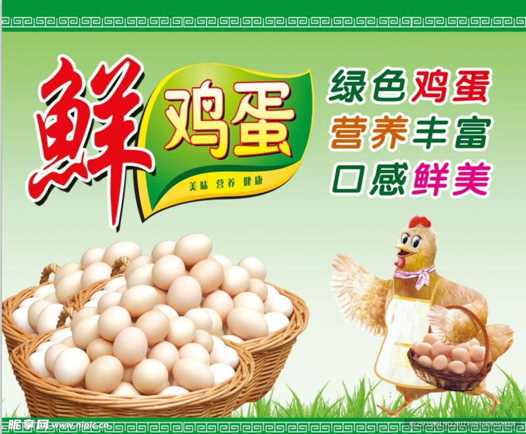 鲜鸡蛋