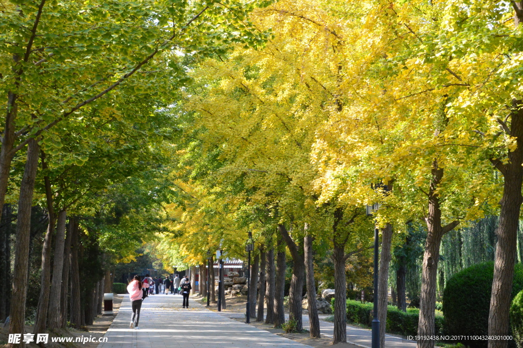 圆明园美景