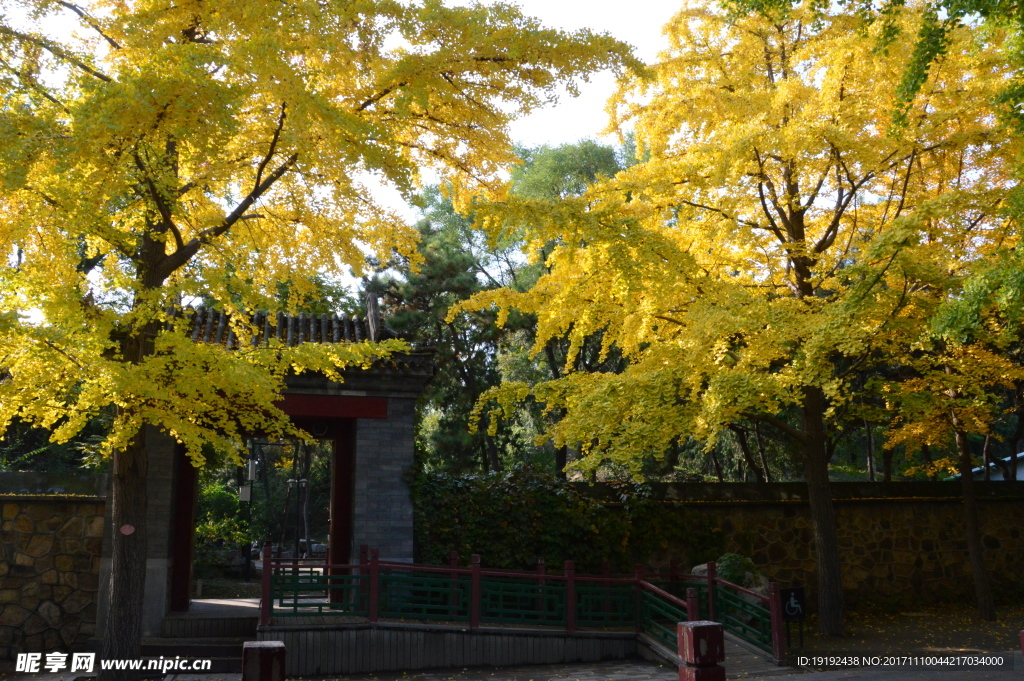 圆明园美景