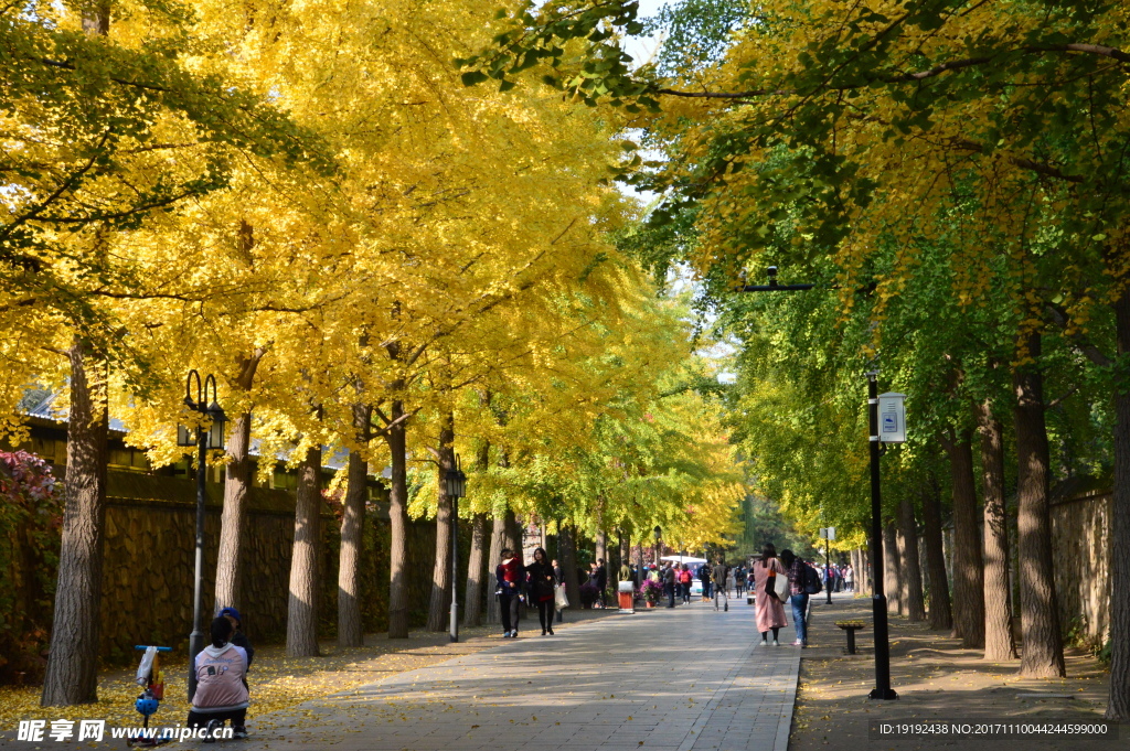 圆明园美景