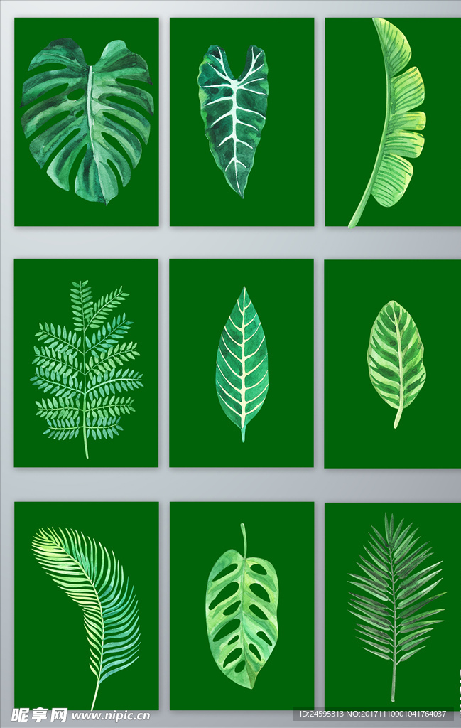 时尚绿色手绘水彩热带植物叶子