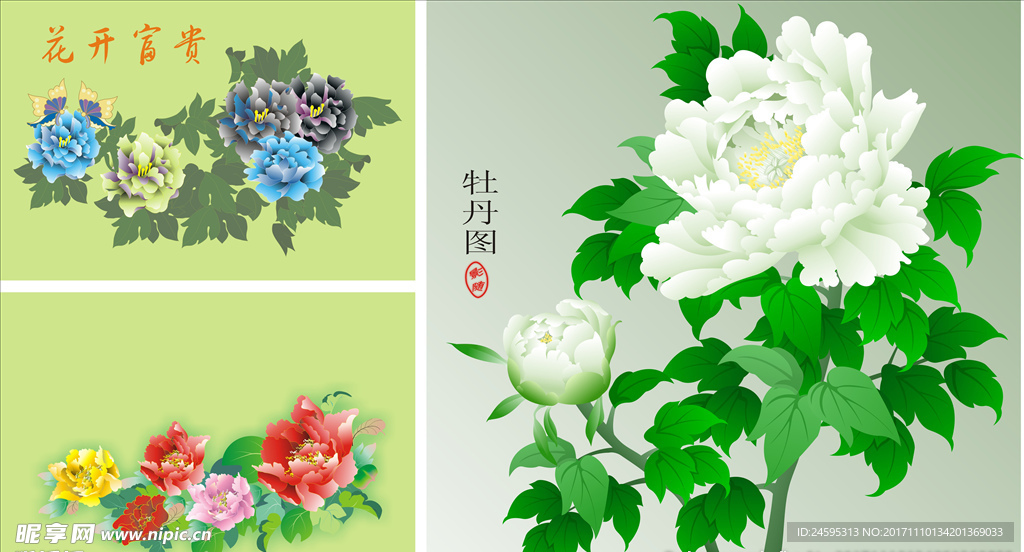 矢量牡丹花