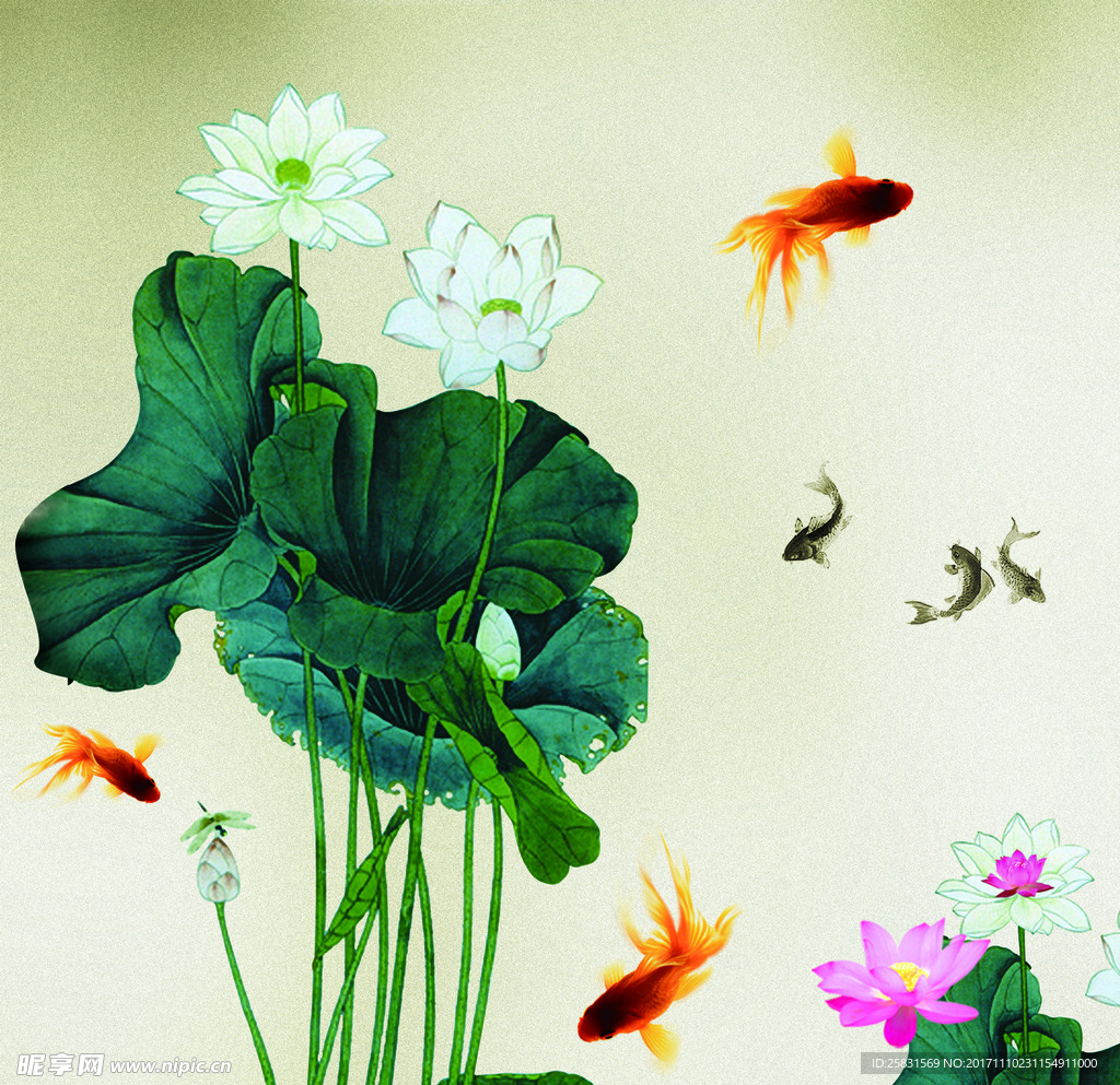 国画 荷花
