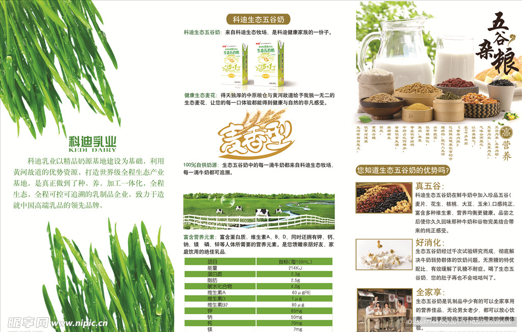 五谷杂粮养生
