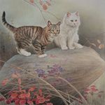 工笔猫