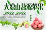 盐源苹果
