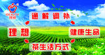 茶