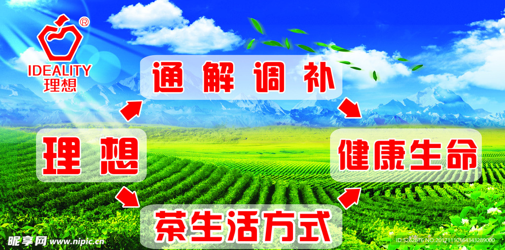 茶