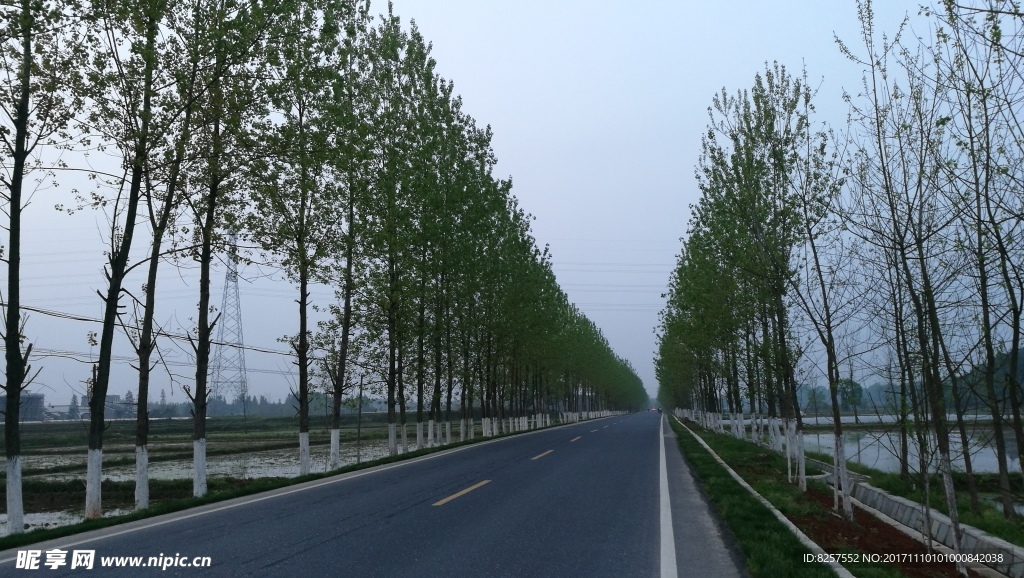 新建成的乡村公路