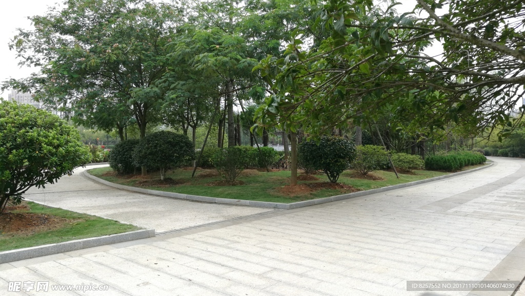 公园风景一角