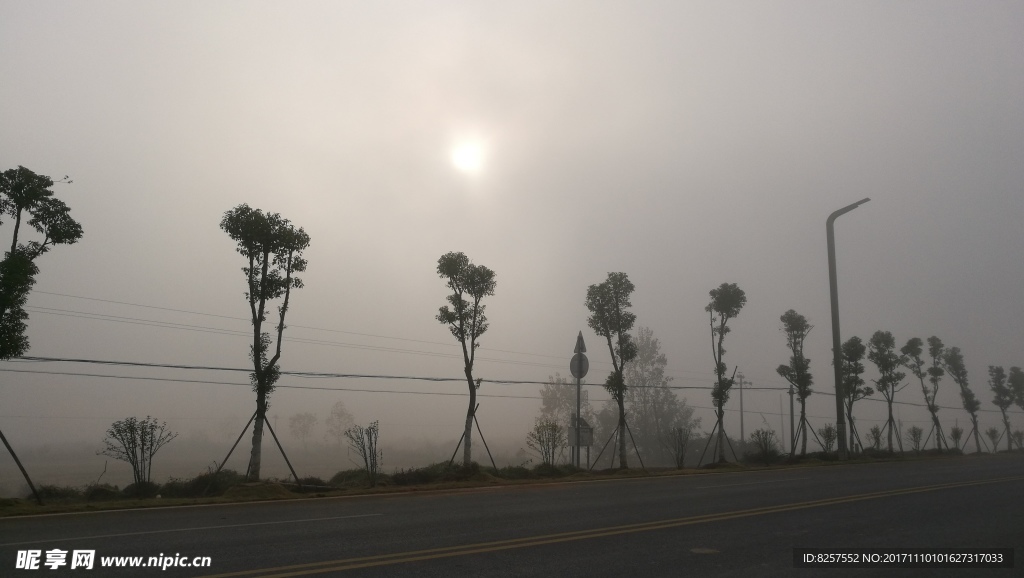 大雾下的乡村公路