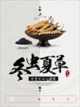 冬虫夏草