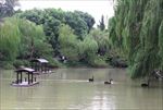 瘦西湖