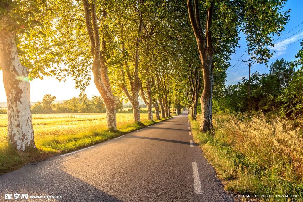 夕阳下的道路风景