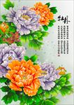 牡丹图
