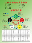脏腑五行图