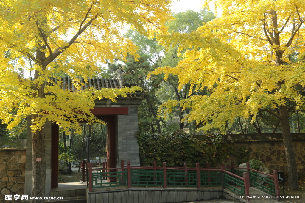 金秋圆明园