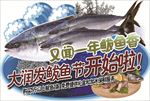 新鲜鲅鱼