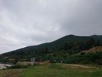 山坡草地