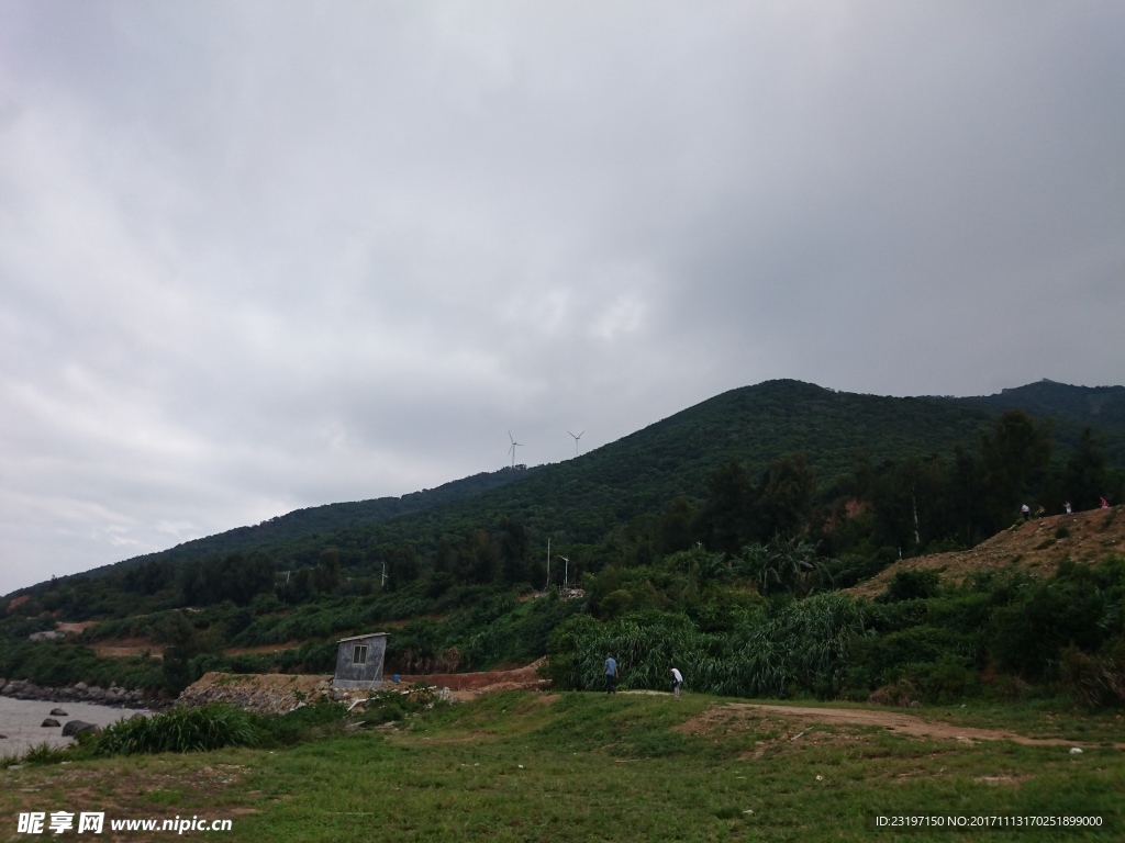 山坡草地