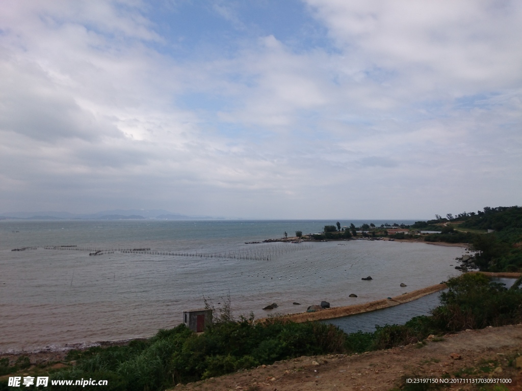 大海