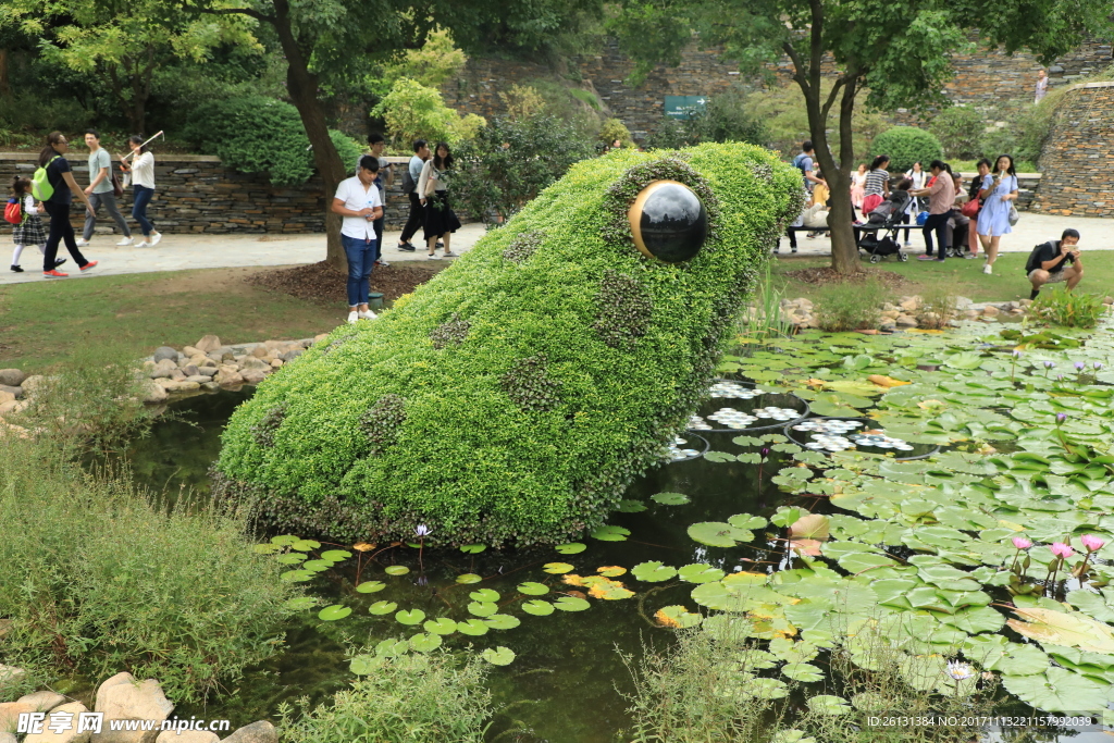 植物造型 青蛙