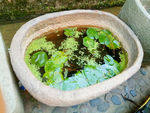 泰宁
