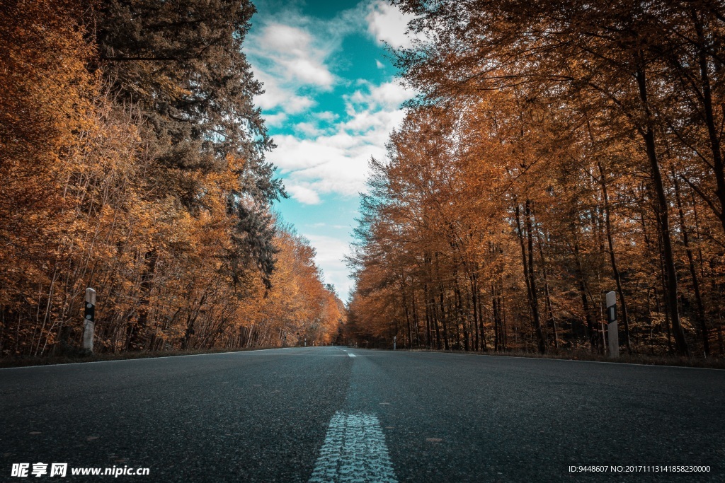 唯美秋天道路景色图片