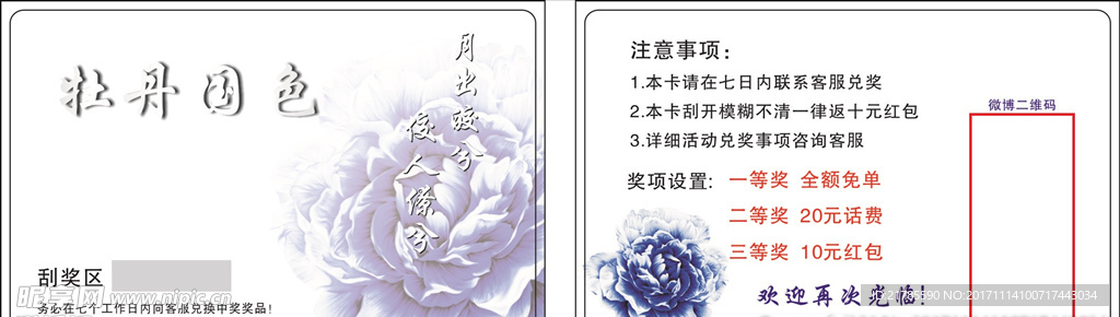 牡丹国色