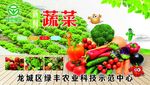 蔬菜