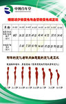 细胞减少变化图