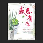 感恩节