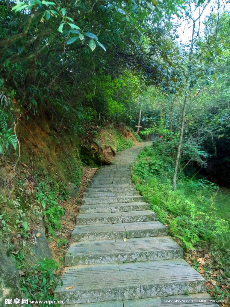 山路