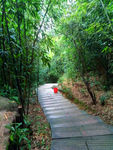 山间小路
