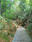 山间小路