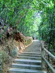 山间小路
